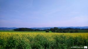 Clubpicknick 2019 Neustadl-Grein 005